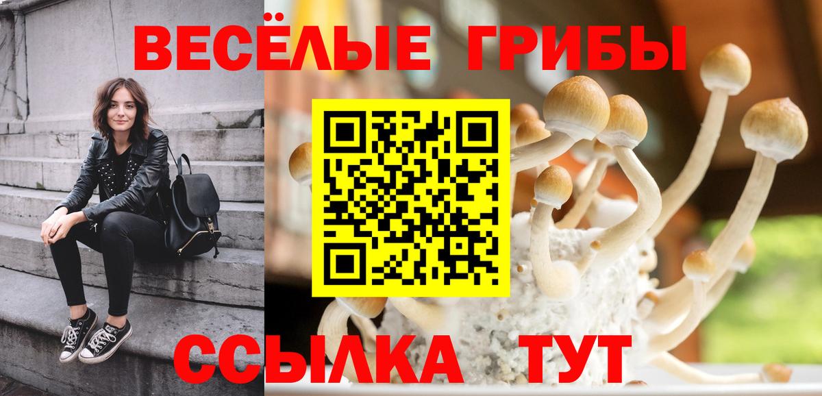 Карасук  Псилоцибиновые грибы Psilocybine cubensis  Галлюциногенные грибы MAGIC MUSHROOMS  Вход с VPN 